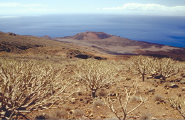 Ausflug nach La Dehesa im Süden von El Hierro